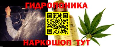 ГАЛЛЮЦИНОГЕННЫЕ ГРИБЫ Кулебаки